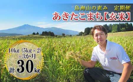 【新米先行予約 11月以降順次発送予定】《定期便 3か月》10kg（5kg×2袋）×3ヶ月 鳥海山の恵み 農家直送！ あきたこまち（玄米）  【令和8年度産 玄米 秋田 にかほ】