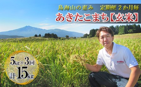 【新米先行予約 11月以降順次発送予定】《定期便 隔月》2ヶ月ごとに5kg×3回 鳥海山の恵み 農家直送！ あきたこまち（玄米） 【令和8年度産 玄米 秋田 にかほ】