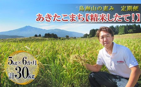 【新米先行予約 11月以降順次発送予定】《定期便 6か月》5kg×6ヶ月 鳥海山の恵み 農家直送！ あきたこまち 【令和8年度産 白米 精米 秋田 にかほ】