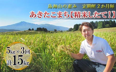 【新米先行予約 11月以降順次発送予定】《定期便 隔月》2ヶ月ごとに5kg×3回 鳥海山の恵み 農家直送！ あきたこまち（5kg×2袋）【令和8年度産 白米 精米 秋田 にかほ】