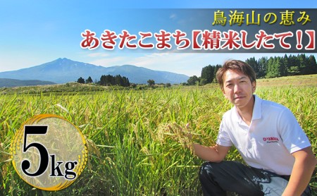 【新米先行予約 11月以降順次発送予定】 鳥海山の恵み 農家直送！ あきたこまち 5kg【令和8年度産 白米 精米 秋田 にかほ】