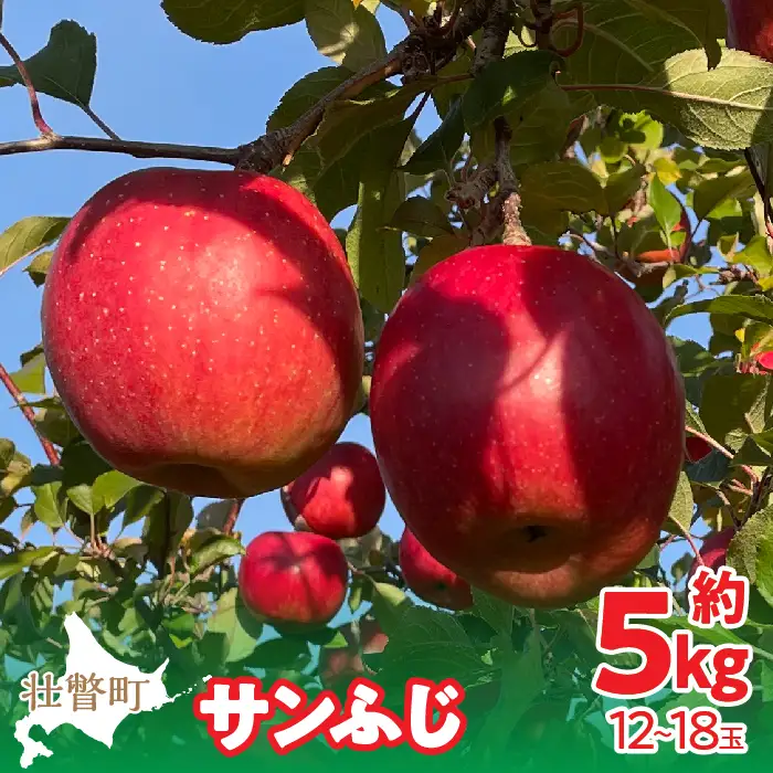 【先行予約】北海道壮瞥町産りんご「サンふじ」約5kg(12～18玉)＜2026年12月上旬にお届け＞ SBTF007