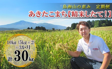 【新米先行予約 11月以降順次発送予定】《定期便 3か月》10kg（5kg×2袋）×3ヶ月 鳥海山の恵み 農家直送！ あきたこまち 【令和8年度産 白米 精米 秋田 にかほ】