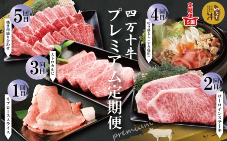 26-983．【５回定期便】幻の四万十牛　四万十産黒毛和牛を堪能　プレミアム定期便