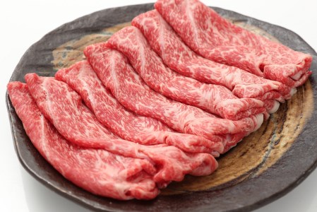 A5 A4 佐賀牛 モモスライス 600ｇ 117-J538