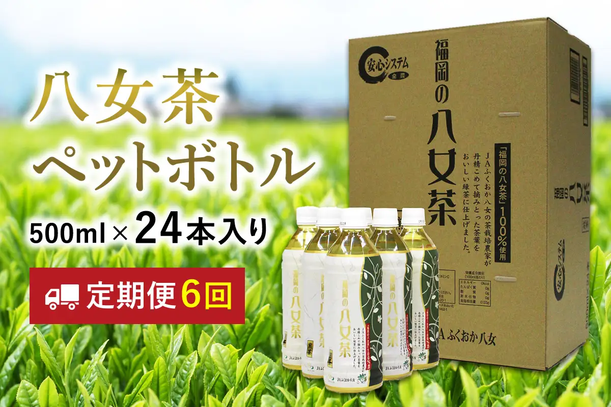 八女茶 煎茶ペットボトル 500ml×24本 【6ヵ月定期便】【J14-001】