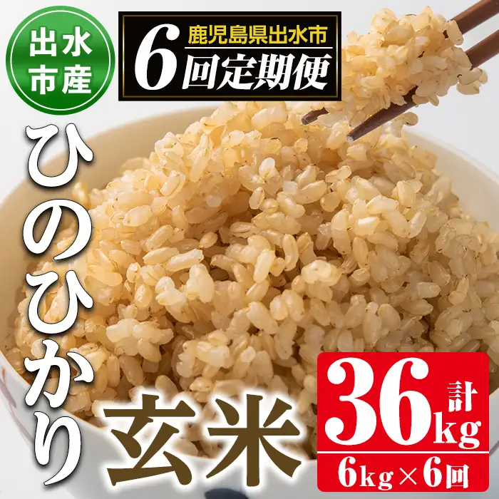 【6回定期便(連続)】鹿児島県 出水市産 ひのひかり 玄米 定期便 (3kg×2袋・計6kg)×全6回 【田上商店】 i542