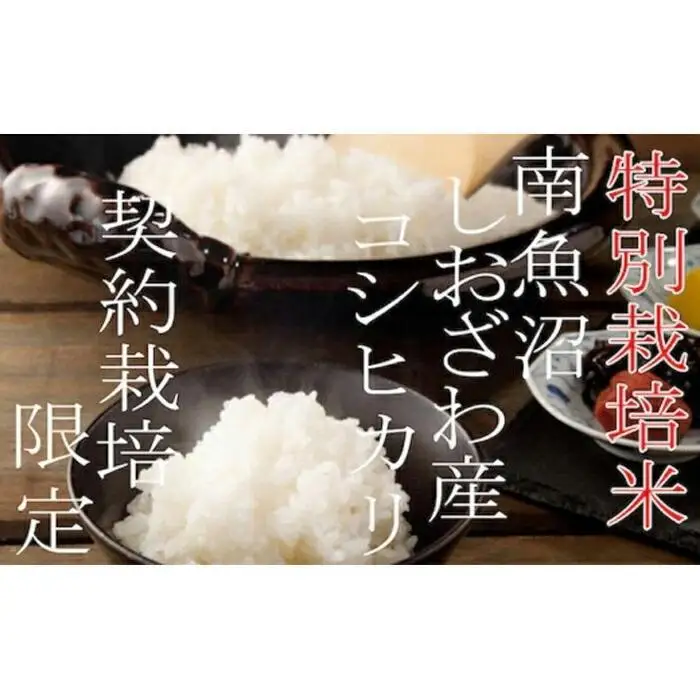 【令和7年産】【定期配送２Kg×3ヶ月】特別栽培 生産者限定  南魚沼しおざわ産コシヒカリ【定期便 銘柄米 ブランド米 精米 こしひかり コシヒカリ 魚沼産 新潟米 産地直送 お米 米 こめ コメ ご飯 御飯 ごはん】