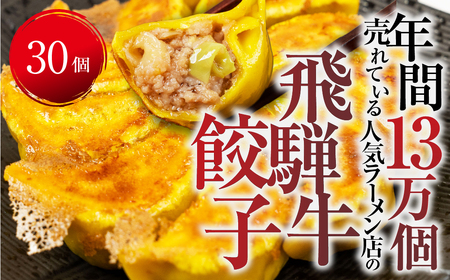 飛騨牛 のリッチな風味が口中に広がる！「飛騨牛餃子 30個」 餃子 ぎょうざ ギョウザ 飛騨牛 牛肉 肉 和牛 国産 冷凍 お取り寄せ [mt1582] 10000円 1万円