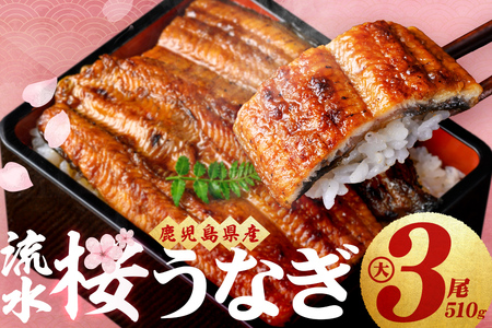 熟練の技が冴える！うなぎの柳澤 流水桜うなぎの蒲焼き3尾(計510g) うなぎ 鰻 ウナギ 国産 鹿児島県産 九州産 蒲焼き 冷凍 うな重 ひつまぶし b2-016