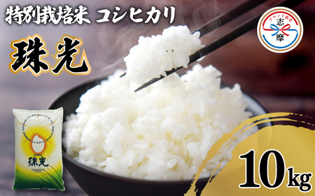 コシヒカリ 10kg 白米 令和７年産 精米 白米【特別栽培米 「珠光」】