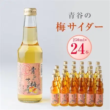 青谷の梅サイダー250ml　_飲料・ドリンク 炭酸飲料 ジュース _【1258587】