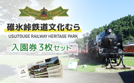 入園招待券3枚セット ANAE001