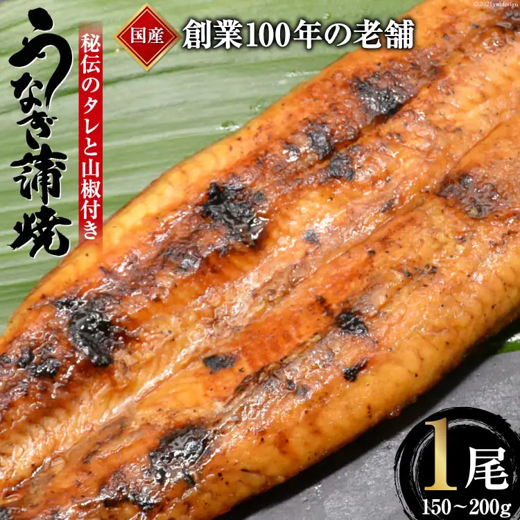 創業100年の味 鰻の蒲焼 1尾 150～200g 秘伝のタレと山椒付き [川魚料理 鯉ひろまつ 福岡県 筑紫野市 21760023]