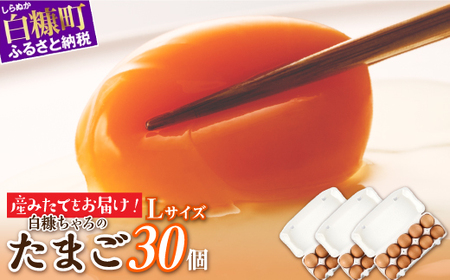 たかはしさんの新鮮たまご30個_I010-0533