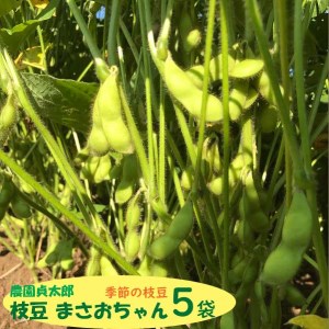【R8.7月下旬より順次発送】農園貞太郎 枝豆まさおちゃん 5袋（入金期限：2026.7.10）