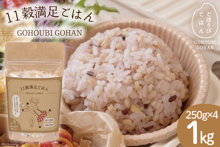 米 無洗米 11穀満足ごはん ごほうびごはん 250g×4 計 1kg [DANBO*DELI 宮崎県 日向市 452060022]