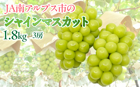 ＜2026年発送先行予約＞★TBSテレビ系列「ひるおび」で取り上げられました！★絶品！南アルプス市産シャインマスカット1.8kg ALPAA004 | 人気 山梨産 高評価 ランキング おすすめ |