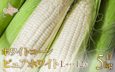 ＜2026年8月中旬よりお届け＞【朝採り】北海道壮瞥町 ホワイトコーン「ピュアホワイト」Lサイズ以上12本(約5kg) SBTQ003