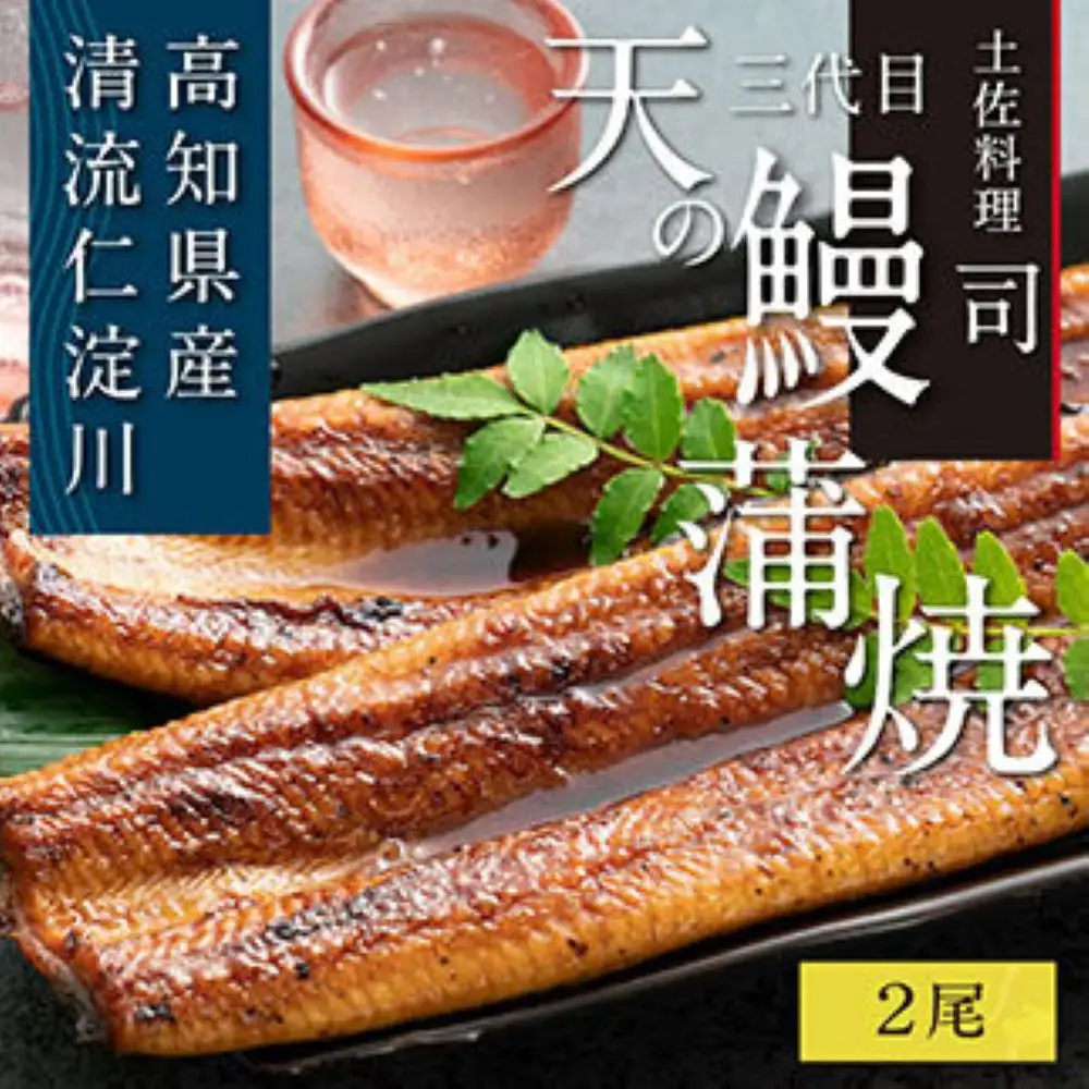 “土佐料理司”三代目天の鰻蒲焼2尾セット（ウナギ・たれセット）〈高知市共通返礼品〉