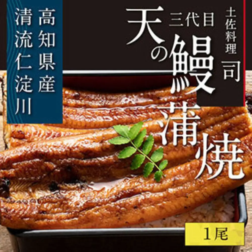 “土佐料理司”三代目天の鰻蒲焼1尾セット（ウナギ・たれセット）〈高知市共通返礼品〉  