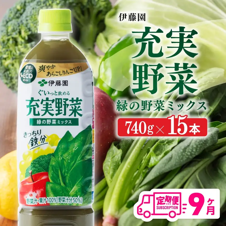 【9ヶ月定期】伊藤園 充実野菜 緑の野菜ミックス（PET） 740g×15本【野菜ジュース 全９回 健康 ヘルシー】