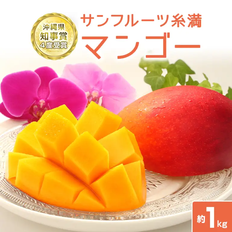 【 先行予約 2026年 発送 】 沖縄県知事賞4度受賞 サンフルーツ糸満 マンゴー 1kg アップルマンゴー アーウィンマンゴー 国産 完熟マンゴー 果物 南国 くだもの フルーツ 完熟 夏 旬 特産品 沖縄 お取り寄せ お土産 甘い 濃厚 沖縄県 糸満市 24-3