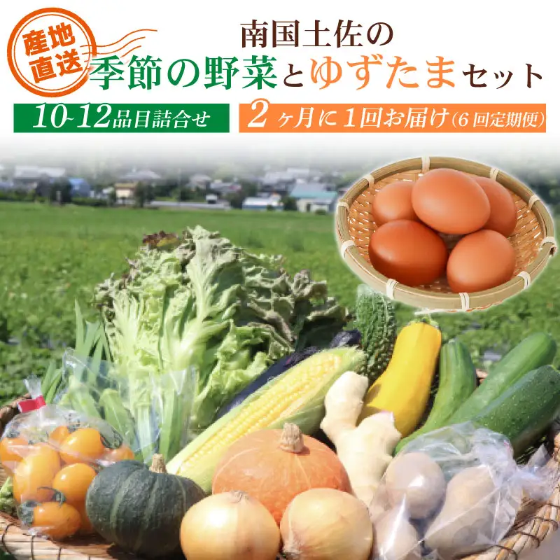 【2ヶ月毎 全6回】土佐の季節野菜と卵（ゆずたま）セット 野菜 定期便