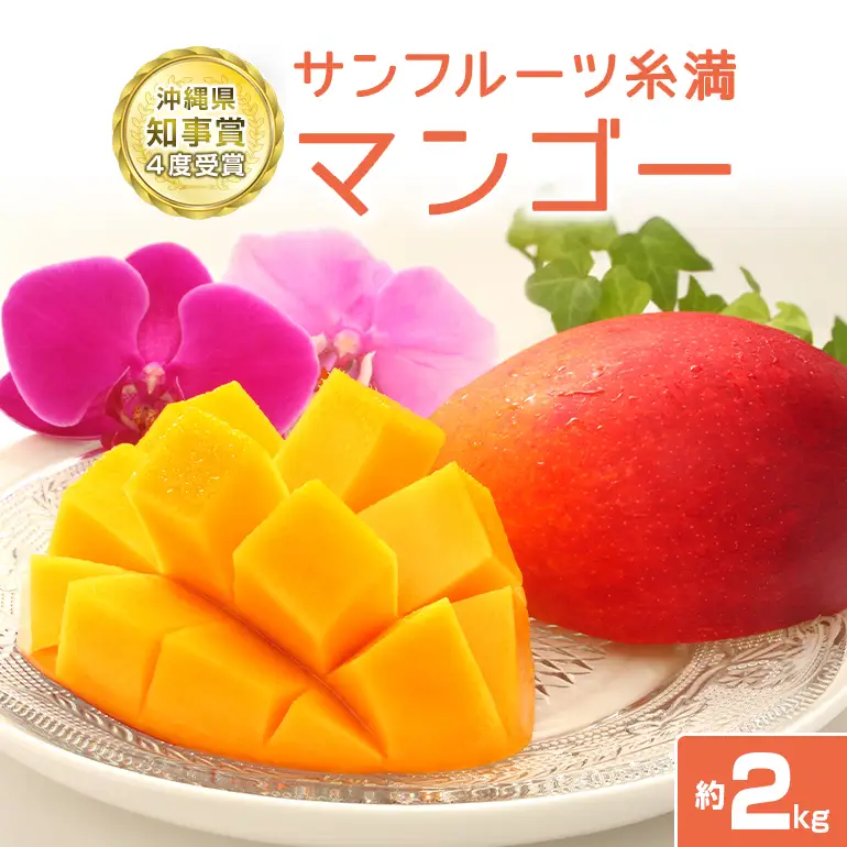 【 先行予約 2026年 発送 】 沖縄県知事賞4度受賞 サンフルーツ糸満 マンゴー 2kg アップルマンゴー アーウィンマンゴー 国産 完熟マンゴー 果物 南国 くだもの フルーツ 完熟 夏 旬 特産品 沖縄 お取り寄せ お土産 甘い 濃厚 沖縄県 糸満市 24-2