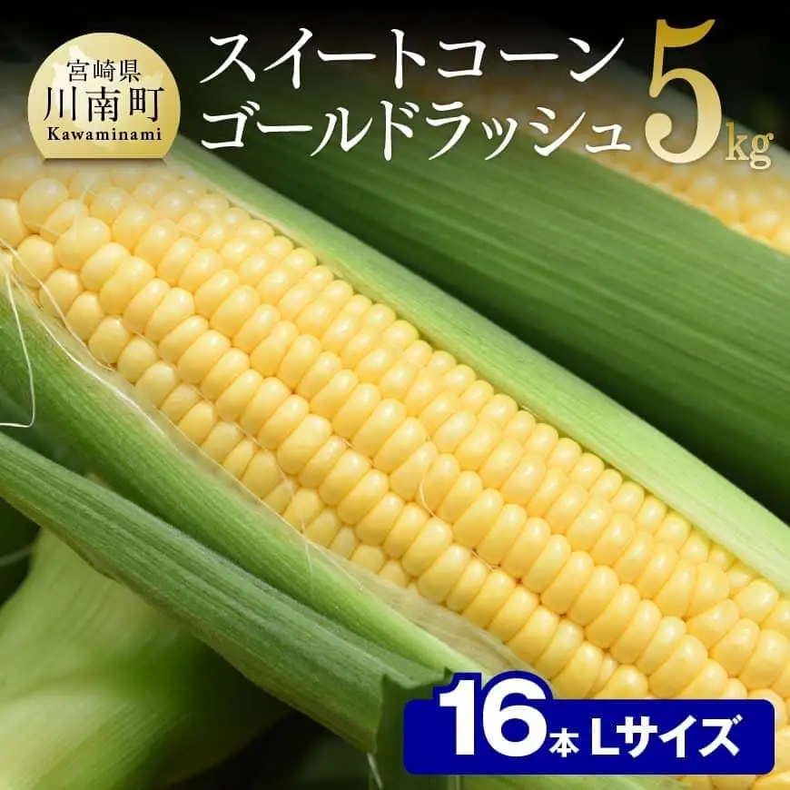 【令和8年発送】宮崎県産とうもろこし　朝どれ！守部さんちのゴールドラッシュ (L)5kg 【 先行予約 数量限定 期間限定 とうもろこし スイートコーン トウモロコシ スィートコーン 令和8年発送 】
