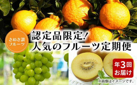 【さぬき讃フルーツ】認定品限定!人気のフルーツ定期便(年3回)