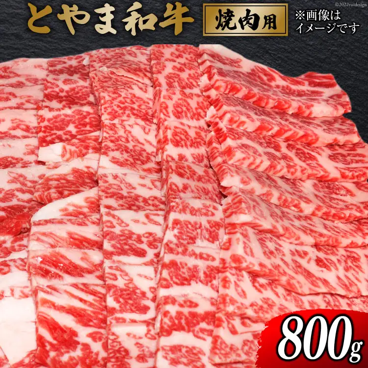 牛肉 とやま和牛 焼肉用 800g [JAみな穂 富山県 朝日町 34310489]