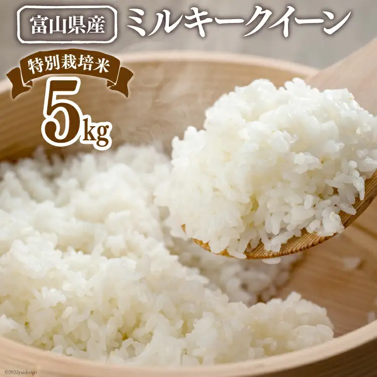 【期間限定発送】 米 令和7年 特別栽培米 ミルキークイーン 精米 5kg [マッキーファーム 富山県 朝日町 34310560]