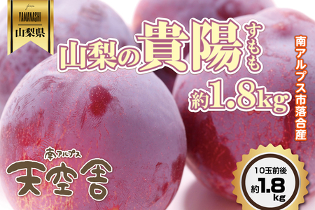 ＜2026年発送先行予約＞南アルプス天空舎のすもも貴陽 約1.8kg ALPAB042