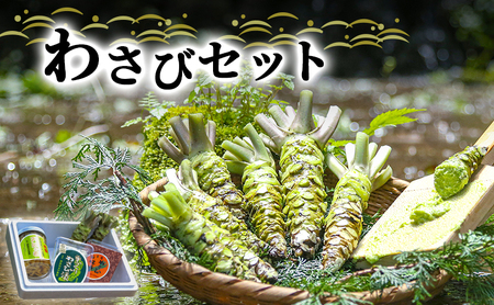 わさび セット 生わさび 2本 わさび漬け 1本 天城の春 三杯酢漬け 1瓶 わさび味噌 1個 詰め合わせ 伊豆 伊豆わさび食品直送 ワサビ 山葵 加工品 加工食品 薬味 調味料 冷蔵 冷蔵配送 静岡 静岡県 河津 河津町