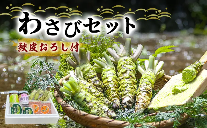 わさび セット 鮫皮おろし付 生わさび 4本 わさび漬け 2個 わさび味噌 2個 天城の春 三杯酢漬け1瓶 むらさき漬け 1瓶 詰め合わせ 伊豆 伊豆わさび食品直送 ワサビ 山葵 鮫皮おろし 加工品 薬味 調味料 冷蔵 冷蔵配送 静岡 静岡県 河津 河津町
