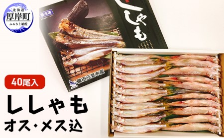 干し ししゃも オス・メス込 40尾入 (オス20尾,メス20尾,合計40尾入り) 魚貝類 