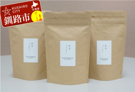 自家焙煎スペシャルティコーヒー ＜豆＞自由に選べる100g×3種（計300g） シングルオリジンセット ふるさと納税 飲料 コーヒー