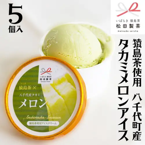 猿島茶使用 八千代町産 タカミメロン アイス 5個入 ふるさと納税 10000円 アイスクリーム あいす ギフト スイーツ お菓子 お祝い 詰合せ [AF061ya]