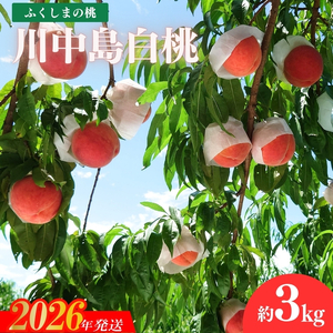 No.1512福島のもも「川中島白桃」約3kg【2026年発送 先行予約】