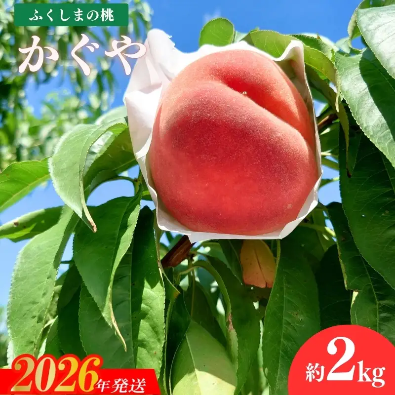No.1514福島のもも「かぐや」約2kg【2026年発送 先行予約】