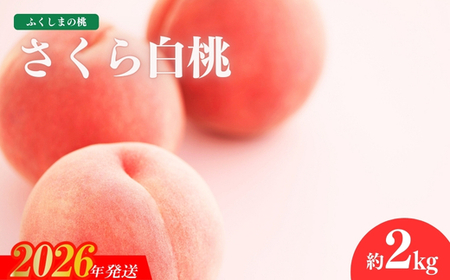 No.1517福島のもも「さくら白桃」約2kg【2026年発送 先行予約】