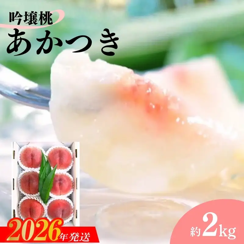 No.1520【限定50箱】吟壌桃「あかつき」 約2kg【2026年発送】
