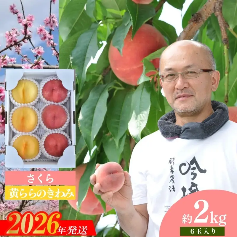 No.1523【限定50箱】吟壌桃「さくら＆黄ららのきわみ」約2kg【2026年発送】