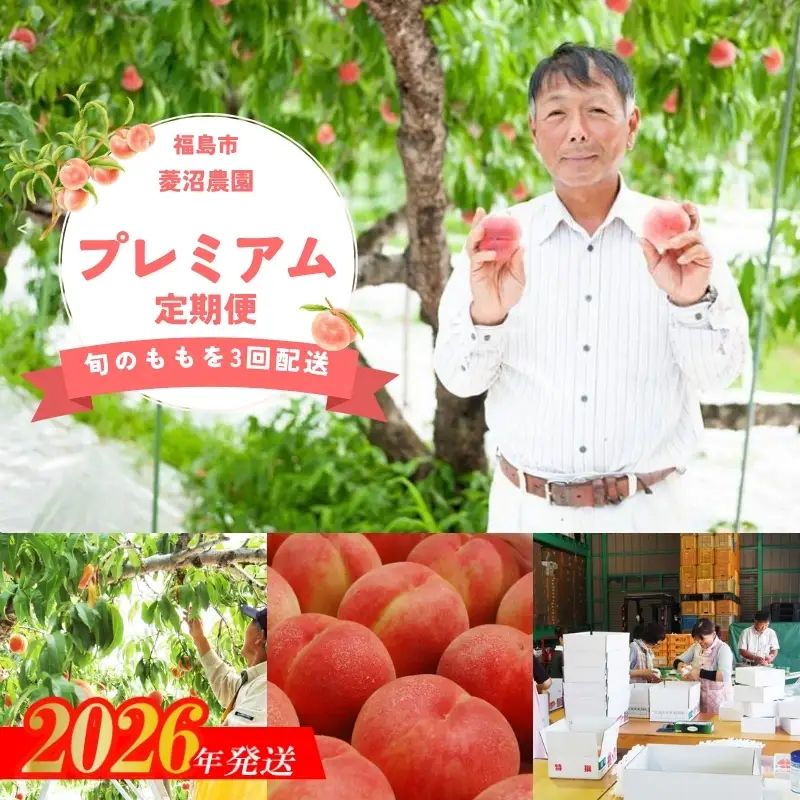 No.1537【全3回】桃プレミアム定期便【2026年発送】
