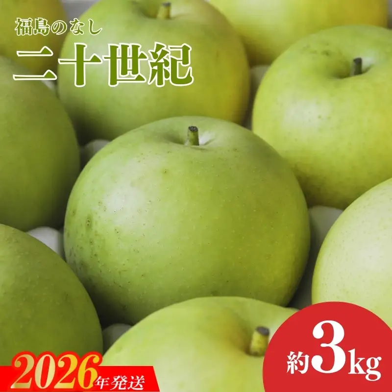 No.1727梨　なし　二十世紀　約3kg【2026年発送】