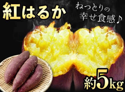 芋紅はるか約5kg有限会社ニシムラ 