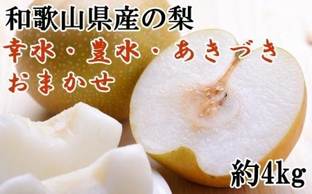 和歌山県産の梨約4kg(品種おまかせ)【2026年8月下旬～2026年9月下旬頃に順次発送予定】【TM017-tec966B】