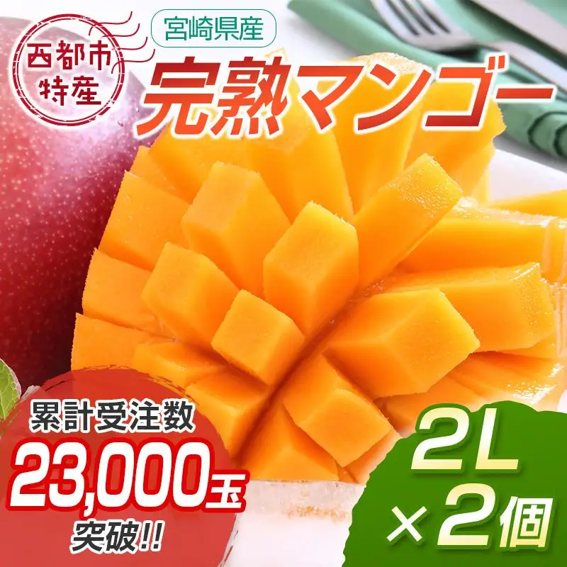【先行予約】西都市産完熟マンゴー2L×2個　計700g以上 2026年発送＜18-5a＞