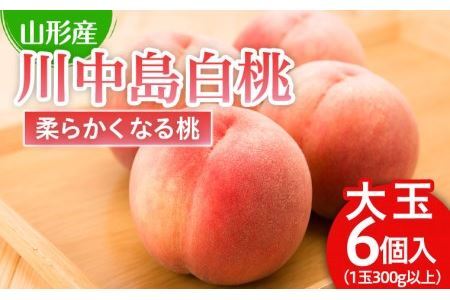 川中島 白桃 秀品 大玉 ６個入 1箱 1.8kg以上[やわらかくなる桃]【令和8年産先行予約】FU21-007 くだもの 果物 フルーツ 山形 山形県 山形市 2026年産